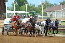 20110709_051712_Calgary_Stampede_Chuckwagon_Race_2
