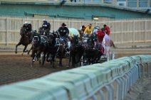 20110709_053834_Calgary_Stampede_Chuckwagon_Race