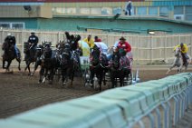 20110709_053835_Calgary_Stampede_Chuckwagon_Race