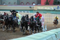 20110709_053836_Calgary_Stampede_Chuckwagon_Race_2