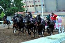20110709_053837_Calgary_Stampede_Chuckwagon_Race_3