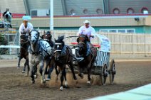20110709_053844_Calgary_Stampede_Chuckwagon_Race_5