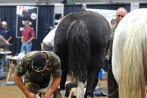20110709_015651_Calgary_Stampede_Blacksmith_Competition_2 Stitched Panorama