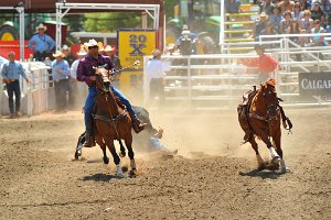 06 STEER WRESTLING