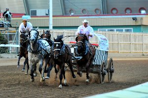 08 CHUCKWAGON RACE