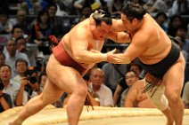 20110722_103546_NGO_SUMO_2