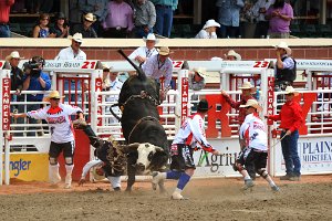 10 RODEO + COWBOY SPORTS