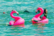 2023 06 24 RHEINSCHWIMMEN - HADYPHOTO #208