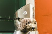 HDR - pet in knights armour - Bernkastel Kues - Germany 1 HDR - pet in knights armour - Bernkastel Kues - Germany 1.jpg