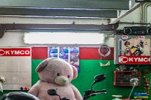 Teddy on a bike - garage in Rome - Itlay Teddy on a bike - garage in Rome - Itlay
