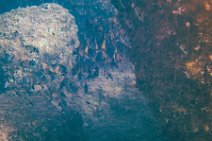 Underwater -fishes around Sardinia - Sardinia - Italy 51 Underwater -fishes around Sardinia - Sardinia - Italy 51.jpg