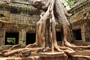 DOCU - ANGKOR WAT