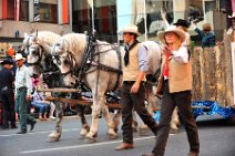 20110708_185343_CALGARY_STAMPEDE_PARADE