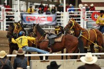 20110709_045028_Calgary_Stampede_Chuckwagon_Race