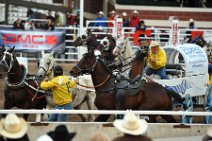 20110709_050842_Calgary_Stampede_Chuckwagon_Race_2