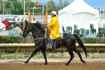 20110709_051734_Calgary_Stampede_Chuckwagon_Race