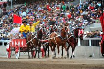 20110709_053425_Calgary_Stampede_Chuckwagon_Race