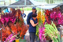 20110602_172453_BOG_Mercado_Paloquemao