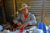 20160407_123113_manufacturing_cigars_on_a_tobacco_farm_near_PINAR_DEL_RIO_Cuba