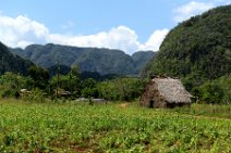 20160406_144522_hut_for_tobacco_leaves_drying_VINALES_VALLEY_Cuba