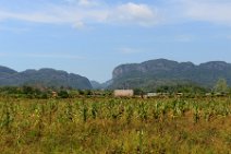 20160407_144251_plantation_and_mountains_of_VINALES_VALLEY_Cuba