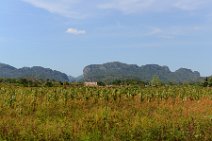 20160407_153734_plantation_and_mountains_of_VINALES_VALLEY_Cuba