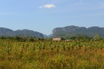20160407_153850_plantation_and_mountains_of_VINALES_VALLEY_Cuba