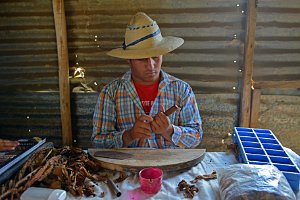DOCU - TOBACCO FARM AND CIGAR MANUFACTORY PINAR DEL RIO