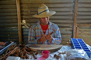 DOCU - TOBACCO FARM AND CIGAR MANUFACTORY PINAR DEL RIO