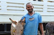 TRANSPORTATION DONKEY AND GUIDE - MERCATO - ADDIS ABABA - ETHIOPIA 01 TRANSPORTATION DONKEY AND GUIDE - MERCATO - ADDIS ABABA - ETHIOPIA 01