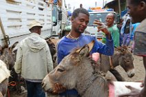 TRANSPORTATION DONKEY AND GUIDE - MERCATO - ADDIS ABABA - ETHIOPIA 04 TRANSPORTATION DONKEY AND GUIDE - MERCATO - ADDIS ABABA - ETHIOPIA 04