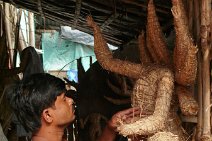 P1100313 Szenen aus Kumurtuli in Kalkutta; Handwerker formen Skulpturen aus Lehm; Aus Stroh und Lehm formen Handwerker indische Goetter und Figuren (meist religioese...