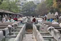 20120310_072910_South_Kolkata_Dhobi_Ghat Calcutta, India: South Kolkata Dhobi Ghat (washing place)