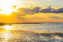 Flamingos in Lake Amboseli during sunset - Amboseli National Park - Kenya 003 Flamingos in Lake Amboseli during sunset - Amboseli National Park - Kenya 003