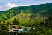 HDR - tea plantation in the Cameron Highlands - Malaysia 22 HDR - tea plantation in the Cameron Highlands - Malaysia 22.jpg