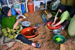 DOCU - ARGAN OIL PRODUCTION - ESSAOUIRA