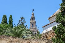 La Giralda Tower - Sevilla Cathedral - seen from Royal Alcazar of Sevilla - Spain 01 La Giralda Tower - Sevilla Cathedral - seen from Royal Alcazar of Sevilla - Spain 01