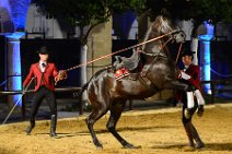 Evening show at - Caballerizas Reales - Royal Stables - Cordoba - Spain 74 Evening show at - Caballerizas Reales - Royal Stables - Cordoba - Spain 74