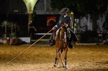 Evening show at - Caballerizas Reales - Royal Stables - Cordoba - Spain 84 Evening show at - Caballerizas Reales - Royal Stables - Cordoba - Spain 84