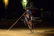 Evening show at - Caballerizas Reales - Royal Stables - Cordoba - Spain 90 Evening show at - Caballerizas Reales - Royal Stables - Cordoba - Spain 90