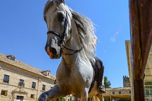 DOCU - ROYAL STABLES - CORDOBA