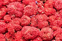 Fresh tea ingredients - Grand Bazaar - Istanbul - Turkey - 08 Fresh tea ingredients - Grand Bazaar - Istanbul - Turkey - 08.jpg