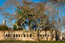 HDR - Topkapi Palace - Istanbul - Turkey - 02 HDR - Topkapi Palace - Istanbul - Turkey - 02.jpg