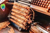 Cigar making in Ybor City - Tampa - Florida - USA 10 Cigar making in Ybor City - Tampa - Florida - USA 10.jpg