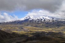 DSC_9381 Blick in das zerstÃ¶rte Gebiet nach dem Ausbruch des Mountt Saint Helens