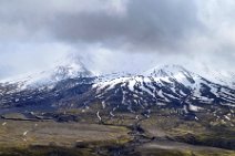 DSC_9428 Blick in das zerstÃ¶rte Gebiet nach dem Ausbruch des Mountt Saint Helens
