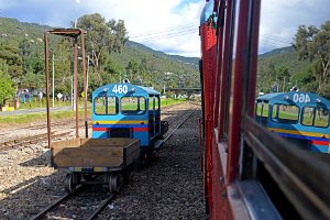 COLOMBIA